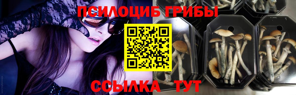 Галлюциногенные грибы Cubensis  Вход с VPN  Сибай  Псилоцибиновые грибы мухоморы 